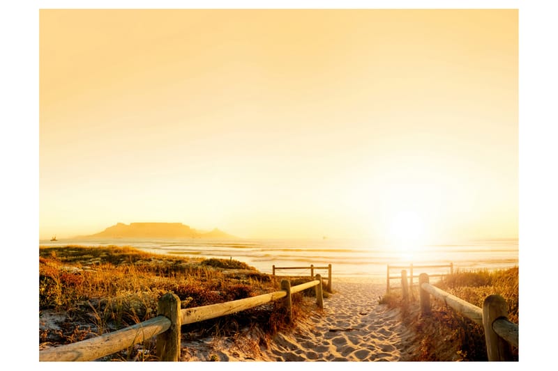 Fototapet Går Retning Mod Solen 300x231, Artgeist sp. z o. o.