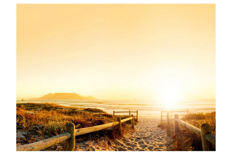 Fototapet Går Retning Mod Solen 350x270, Artgeist sp. z o. o.