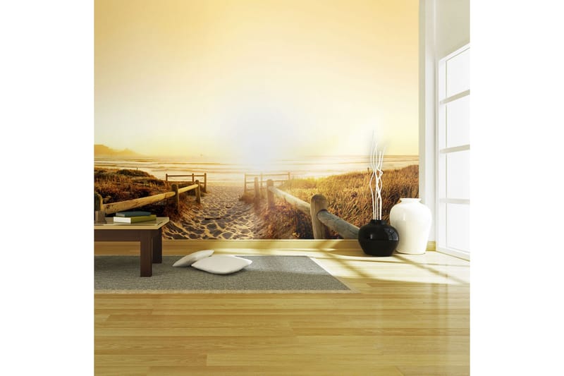 Fototapet Går Retning Mod Solen 450x270, Artgeist sp. z o. o.