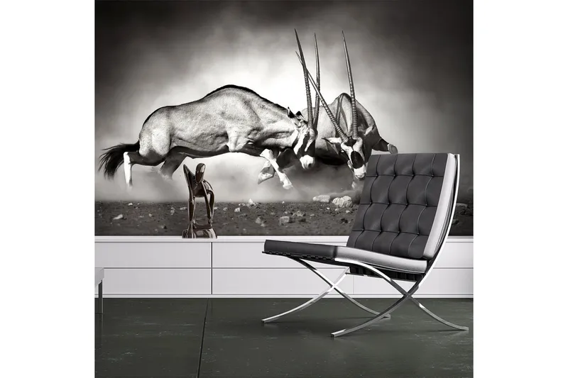 Fototapet Gemsbock Kamp 350x270, Artgeist sp. z o. o.