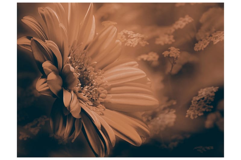 Fototapet Gerbera Brons 400x309 - Artgeist sp. z o. o. - Boligtilbehør - Vægdekoration - Tapeter - Fototapeter