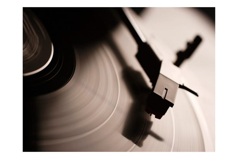 Fototapet Gramophone And Vinyl Record 300x231 - Artgeist sp. z o. o. - Boligtilbehør - Vægdekoration - Tapeter - Fototapeter