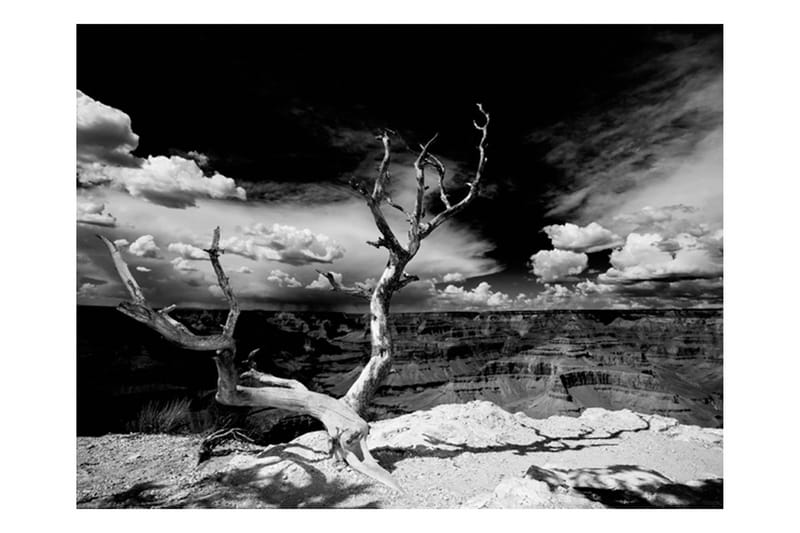 Fototapet Grand Canyon Træ 400x309 - Artgeist sp. z o. o. - Boligtilbehør - Vægdekoration - Tapeter - Fototapeter