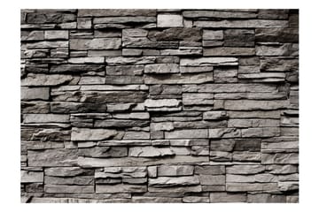 Fototapet Granite Bastion 350x245 - Artgeist sp. z o. o. - Boligtilbehør - Vægdekoration - Tapeter - Fototapeter