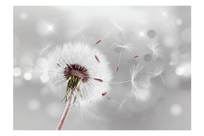 Fototapet Grasping The Invisible 250x175 - Artgeist sp. z o. o. - Boligtilbehør - Vægdekoration - Tapeter - Fototapeter