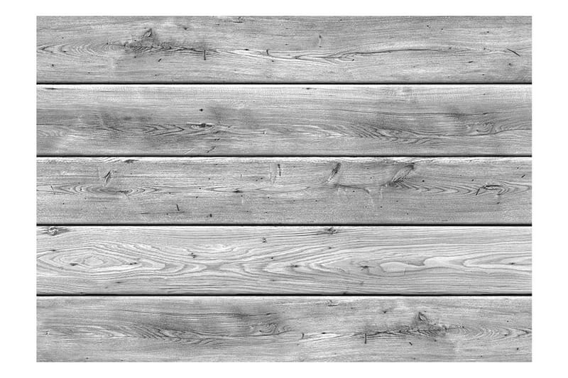 Fototapet Grey Kingdom 400x280 - Artgeist sp. z o. o. - Boligtilbehør - Vægdekoration - Tapeter - Fototapeter