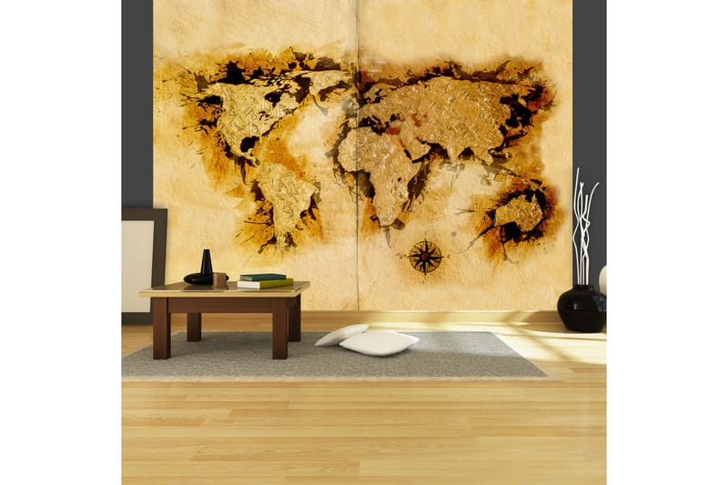 Fototapet guldgraver kort over verden 250x193 - Artgeist sp. z o. o. - Fototapeter
