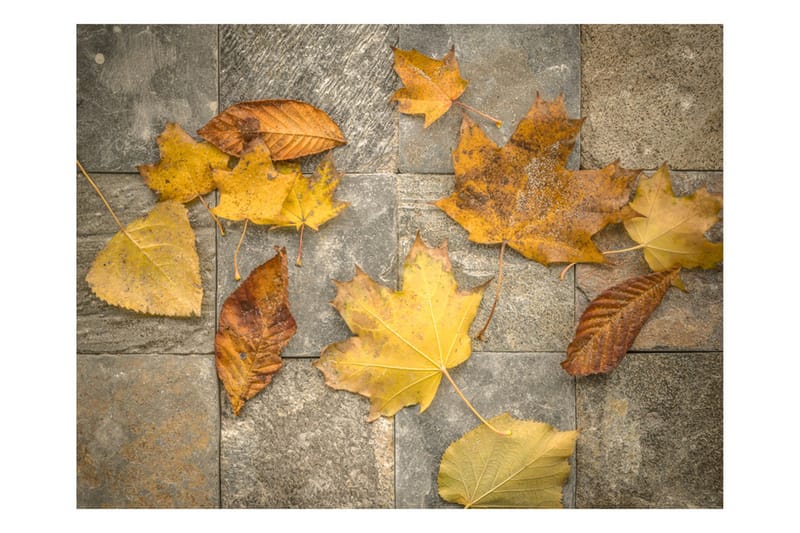 Fototapet Harbinger Of Autumn 400x309, Artgeist sp. z o. o.