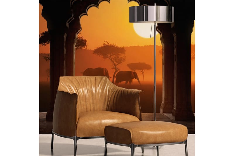 Fototapet Hear Africa 250x193, Artgeist sp. z o. o.