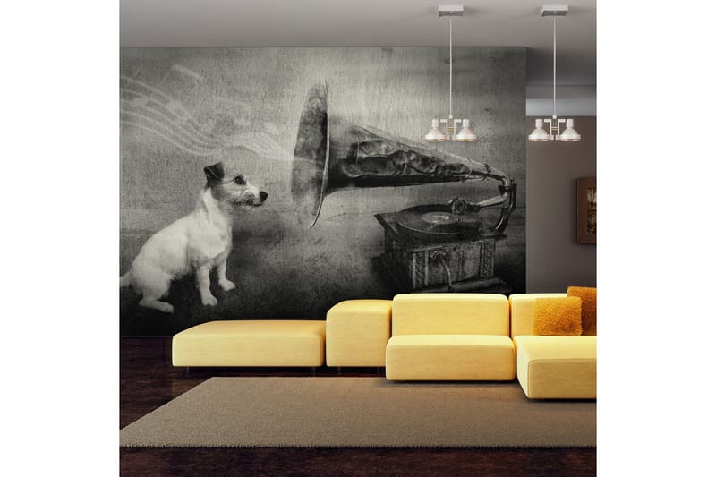 Fototapet Hundens Melodier 200x154, Artgeist sp. z o. o.