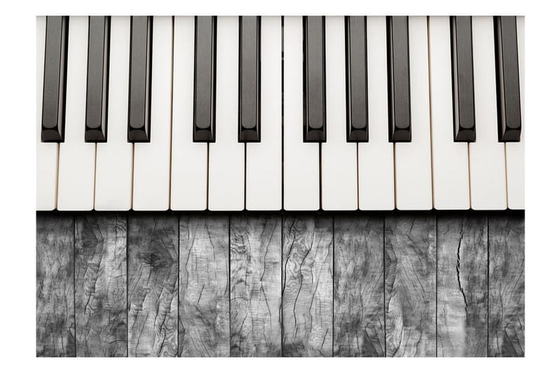 Fototapet Inspired By Chopin Grey Wood 200x140 - Artgeist sp. z o. o. - Boligtilbehør - Vægdekoration - Tapeter - Fototapeter