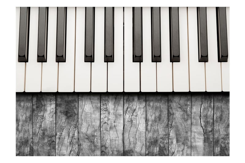 Fototapet Inspired By Chopin Grey Wood 250x175 - Artgeist sp. z o. o. - Boligtilbehør - Vægdekoration - Tapeter - Fototapeter