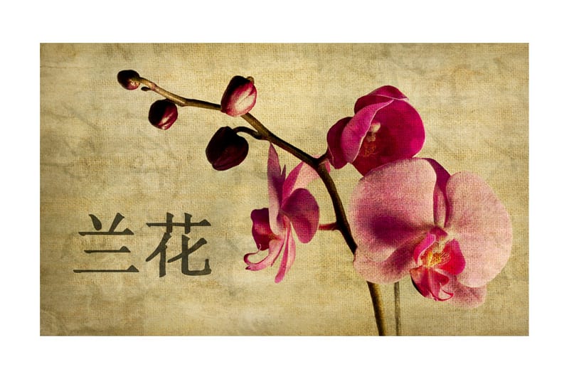 Fototapet Japanese Orchid 450x270, Artgeist sp. z o. o.