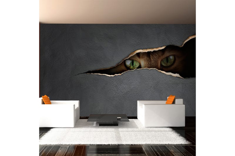 Fototapet Kattens Blik 450x270, Artgeist sp. z o. o.