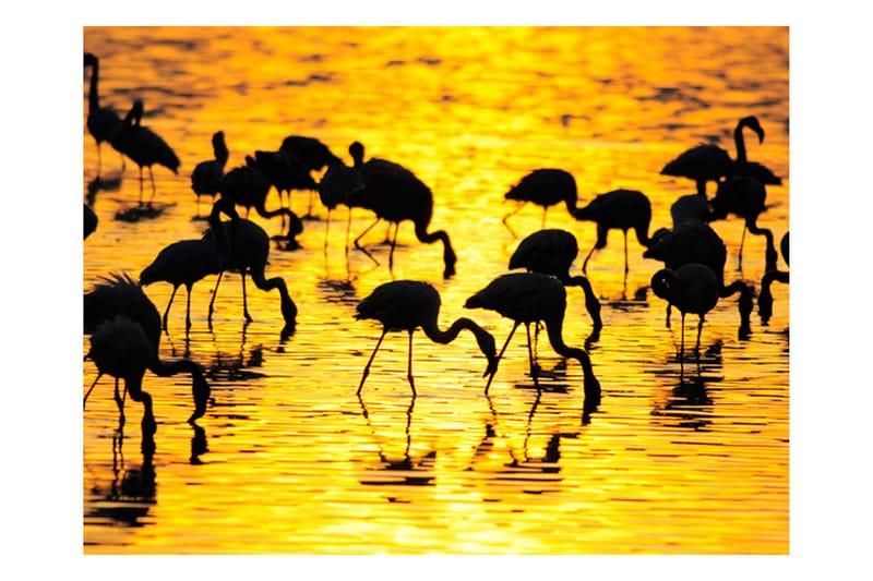 Fototapet Kenya Flamingoer Ved Søen Nakuru 400x309 - Artgeist sp. z o. o. - Boligtilbehør - Vægdekoration - Tapeter - Fototapeter