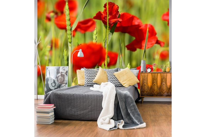 Fototapet Korn Eng Med Valmuer 350x270, Artgeist sp. z o. o.