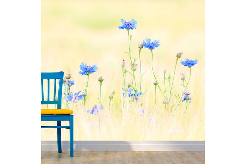 Fototapet Kornblomster 250x193, Artgeist sp. z o. o.