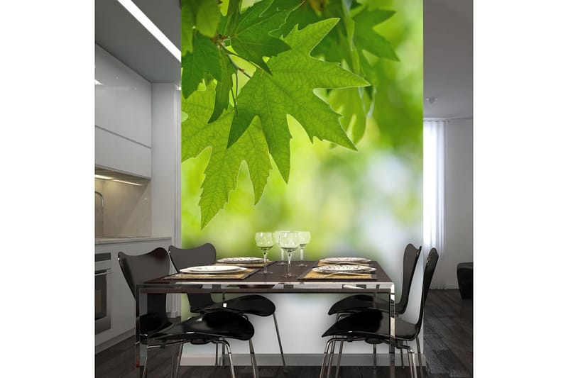 Fototapet Leaf Shallow Focus 250x193, Artgeist sp. z o. o.