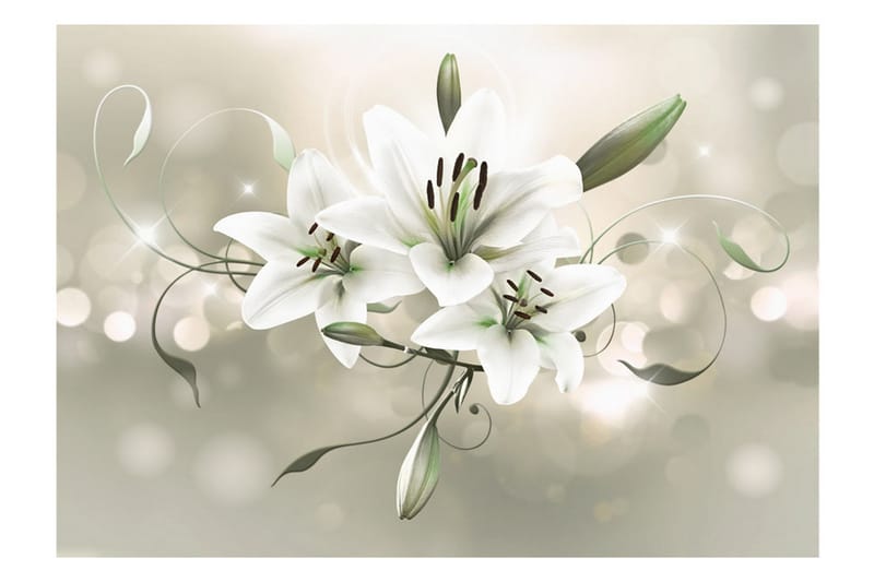 Fototapet Lily Flower Of Masters 300x210 - Artgeist sp. z o. o. - Boligtilbehør - Vægdekoration - Tapeter - Fototapeter
