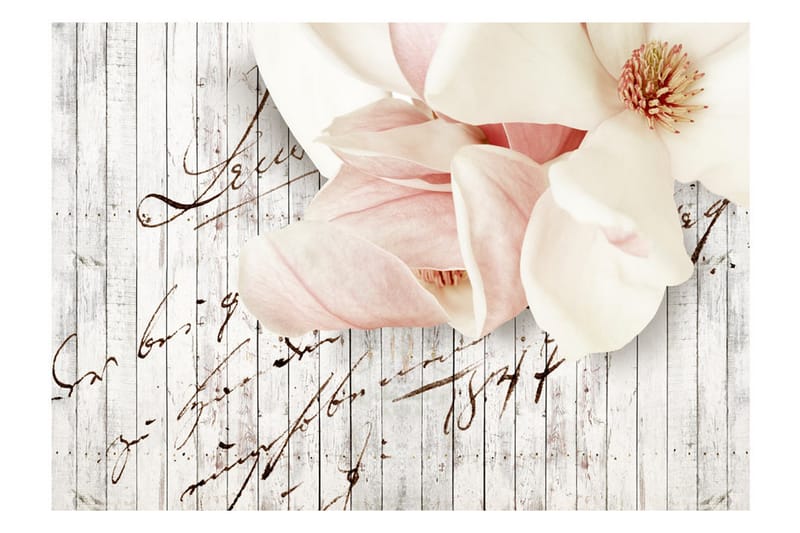 Fototapet Love Letter 150x105 - Artgeist sp. z o. o. - Boligtilbehør - Vægdekoration - Tapeter - Fototapeter