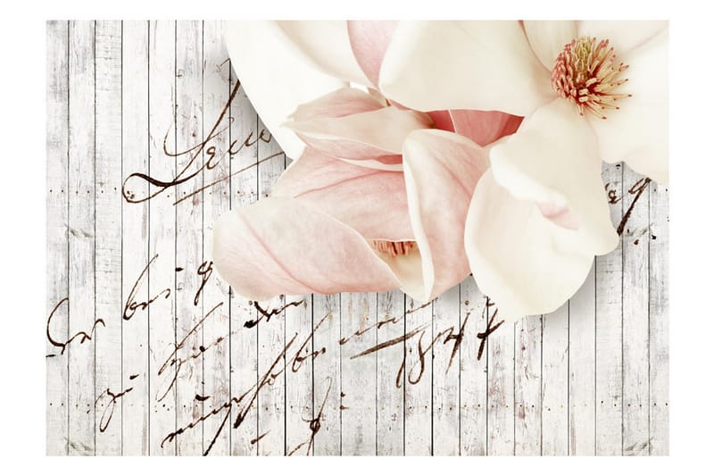 Fototapet Love Letter 150x105 - Artgeist sp. z o. o. - Boligtilbehør - Vægdekoration - Tapeter - Fototapeter