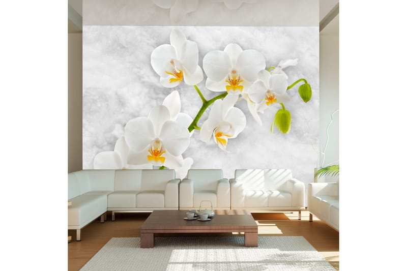 Fototapet Lyrical Orchid White 100x70, Artgeist sp. z o. o.