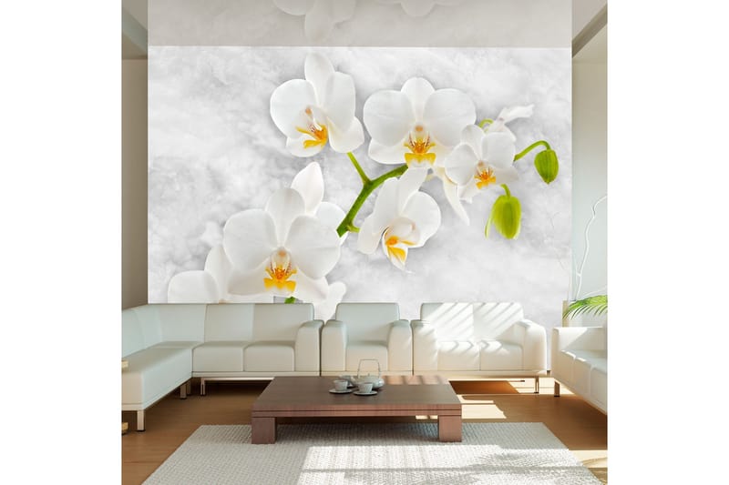 Fototapet Lyrical Orchid White 150x105, Artgeist sp. z o. o.