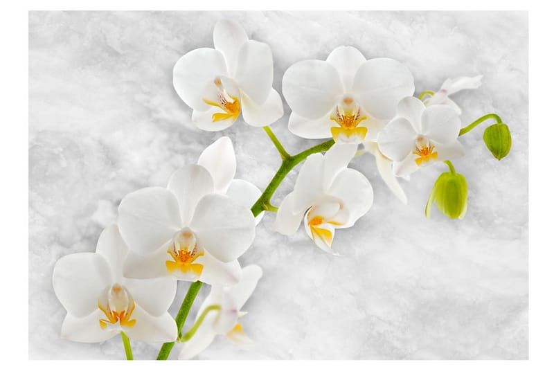Fototapet Lyrical Orchid White 200x140 - Artgeist sp. z o. o. - Boligtilbehør - Vægdekoration - Tapeter - Fototapeter