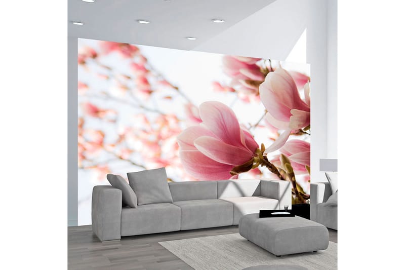 Fototapet Lyserød Magnolia 300x231, Artgeist sp. z o. o.