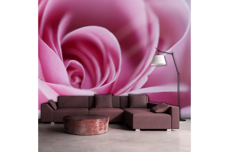 Fototapet Lyserød Rose 350x270, Artgeist sp. z o. o.