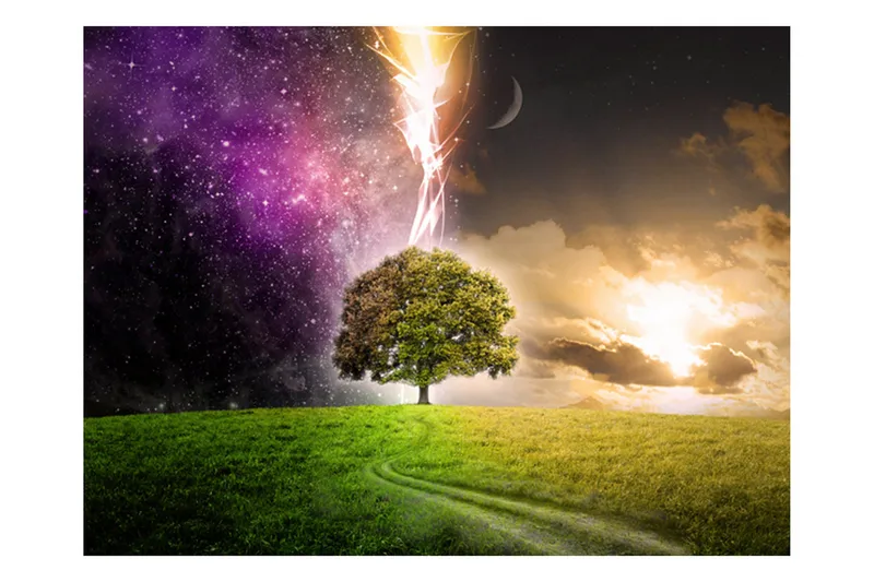 Fototapet Magic Tree 300x231 - Artgeist sp. z o. o. - Boligtilbehør - Vægdekoration - Tapeter - Fototapeter