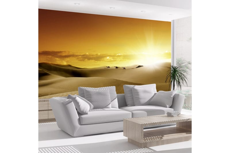 Fototapet March Of Camels 300x210, Artgeist sp. z o. o.