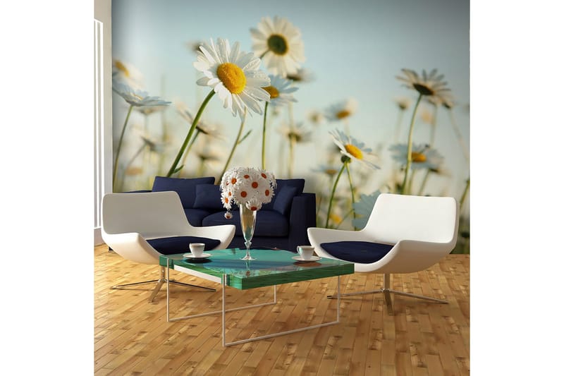 Fototapet Margueritter Spring Eng 450x270, Artgeist sp. z o. o.