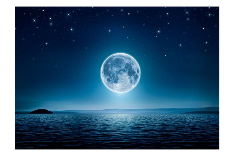 Fototapet Moonlight Night 100x70 - Artgeist sp. z o. o. - Fototapeter