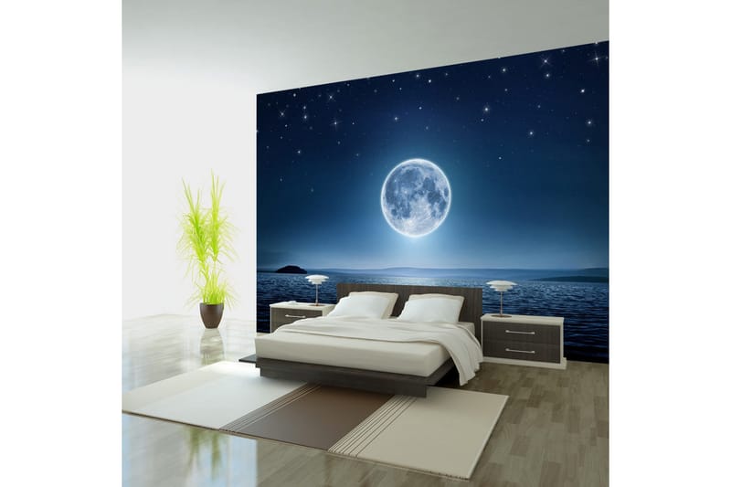Fototapet Moonlit Night 150x105, Artgeist sp. z o. o.