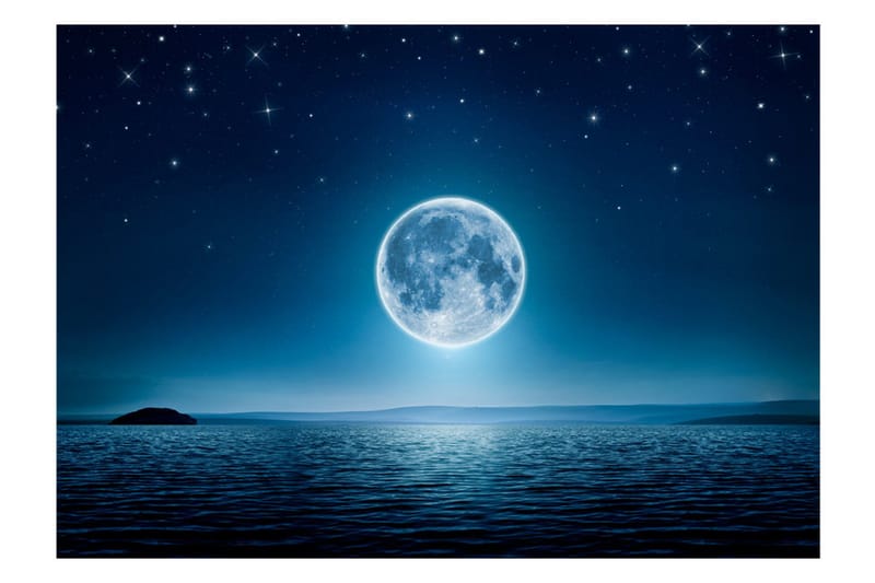 Fototapet Moonlit Night 300x210 - Artgeist sp. z o. o. - Boligtilbehør - Vægdekoration - Tapeter - Fototapeter