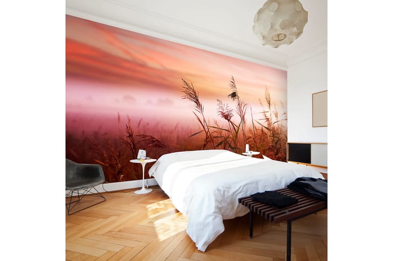 Fototapet Morgen Eng 450x270, Artgeist sp. z o. o.