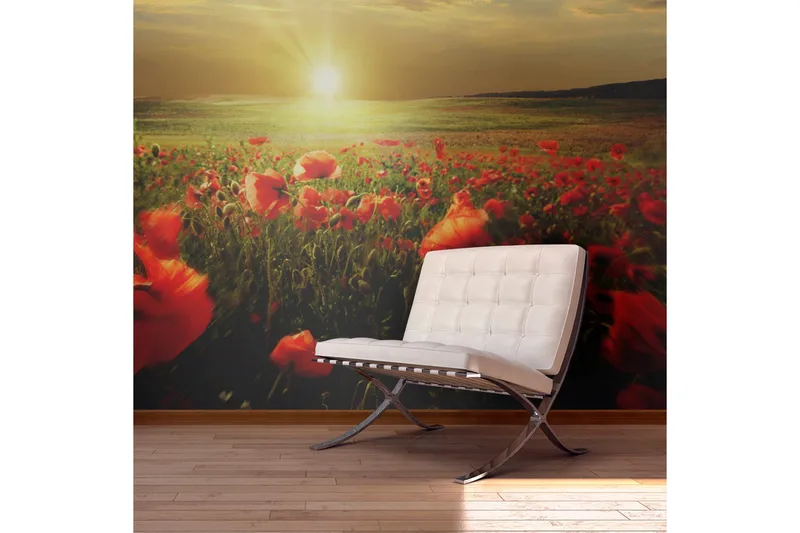 Fototapet Morgen På Valmuer Eng 450x270, Artgeist sp. z o. o.