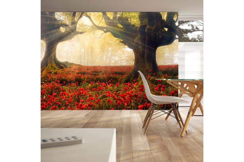 Fototapet Morning Among Poppies 250x175 - Artgeist sp. z o. o. - Boligtilbehør - Vægdekoration - Tapeter - Fototapeter