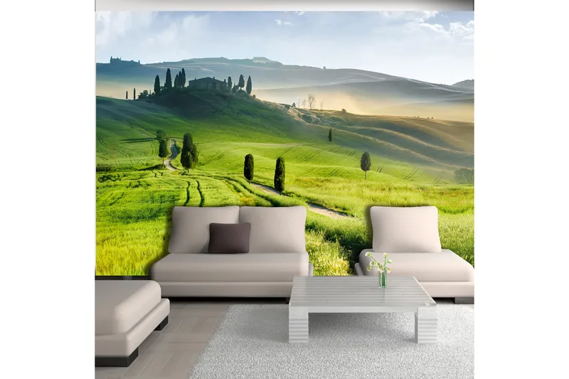 Fototapet Morning In The Countryside 100x70 - Artgeist sp. z o. o. - Boligtilbehør - Vægdekoration - Tapeter - Fototapeter