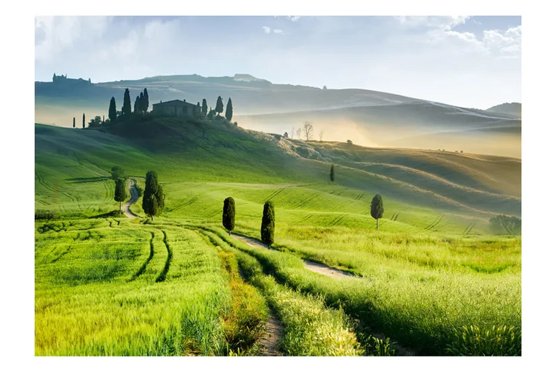 Fototapet Morning In The Countryside 300x210, Artgeist sp. z o. o.