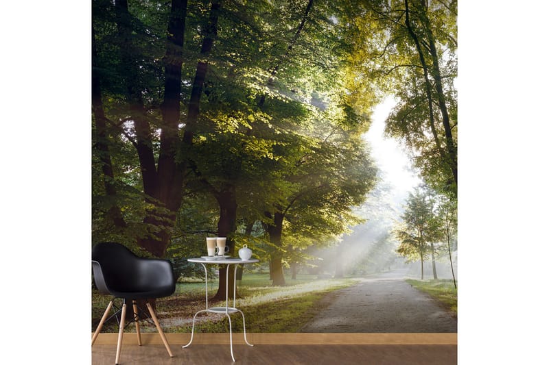 Fototapet Morning Walk 400x280, Artgeist sp. z o. o.