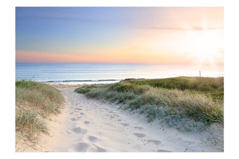 Fototapet Morning Walk On The Beach 200x140 - Artgeist sp. z o. o. - Boligtilbehør - Vægdekoration - Tapeter - Fototapeter