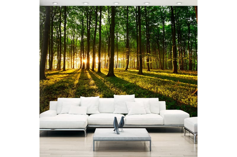 Fototapet Mystical Morning 400x280, Artgeist sp. z o. o.