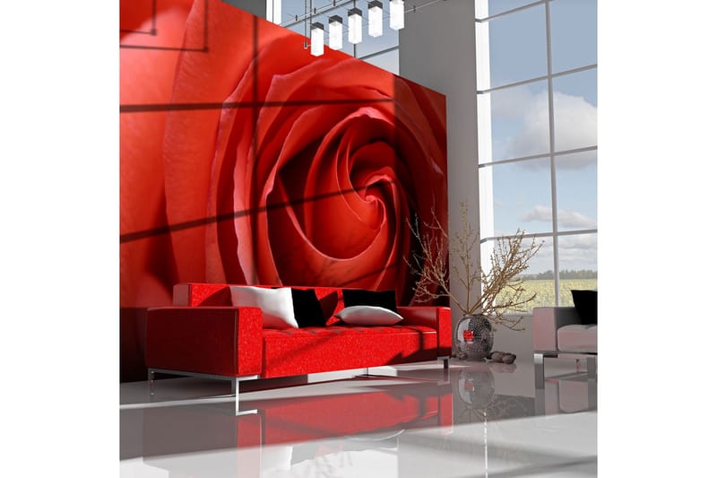 Fototapet Nyvågen Rose 200x154, Artgeist sp. z o. o.