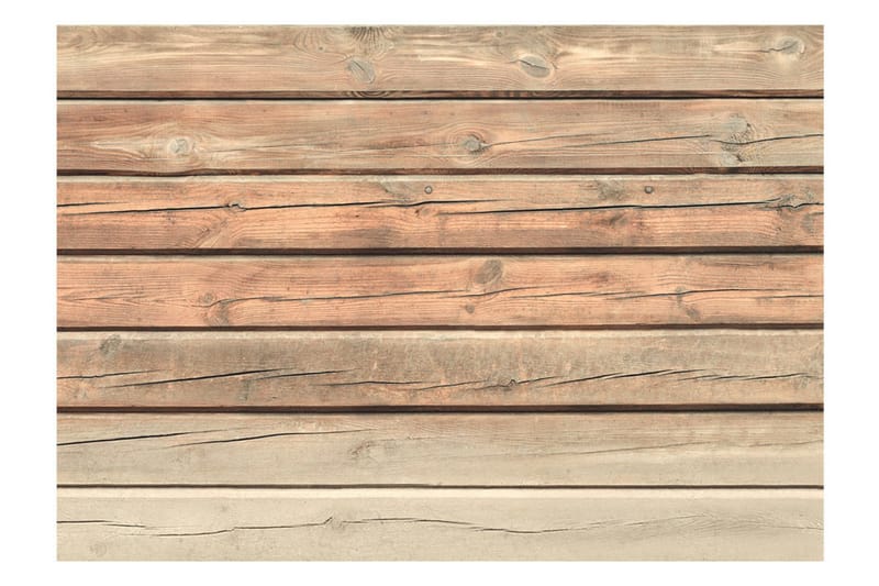 Fototapet Old Pine 100x70 - Artgeist sp. z o. o. - Boligtilbehør - Vægdekoration - Tapeter - Fototapeter