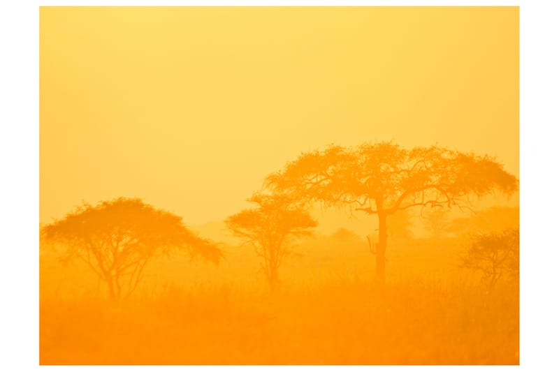 Fototapet Orange Savanna 350x270 - Artgeist sp. z o. o. - Boligtilbehør - Vægdekoration - Tapeter - Fototapeter