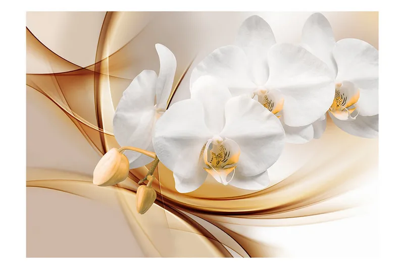 Fototapet Orchid Blossom 350x245 - Artgeist sp. z o. o. - Boligtilbehør - Vægdekoration - Tapeter - Fototapeter