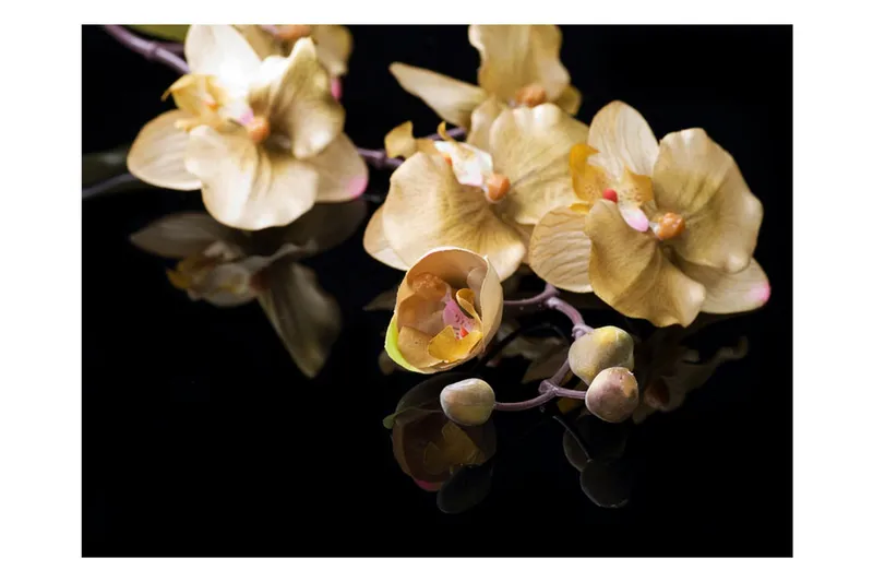 Fototapet Orchids In Ecru Color 200x154 - Artgeist sp. z o. o. - Boligtilbehør - Vægdekoration - Tapeter - Fototapeter