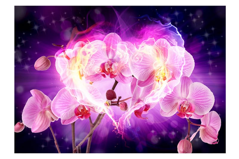 Fototapet Orchids In Flames 250x175 - Artgeist sp. z o. o. - Boligtilbehør - Vægdekoration - Tapeter - Fototapeter